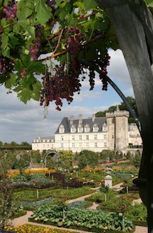 4chauteau_de_villandry_copy.jpg